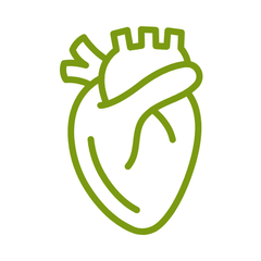 supplementen voor ondersteuning van het hart