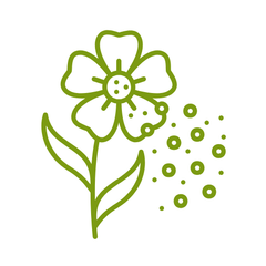 supplementen tegen hooikoorts