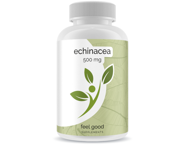 Echinacea