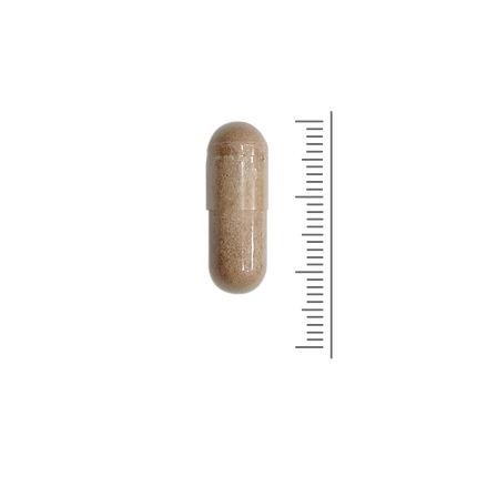 Glucosamine Plus - 90 caps