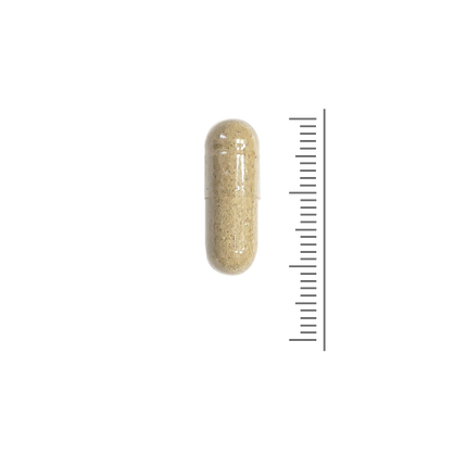 Weerstand Formule - 90 caps