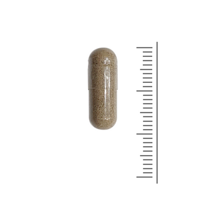 Vitex Agnus Castus - 60 plantcaps