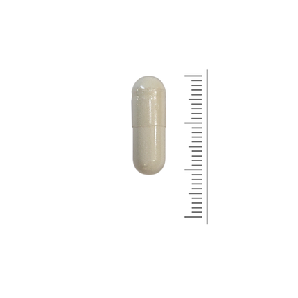 Viscollageen - 60 Vcaps