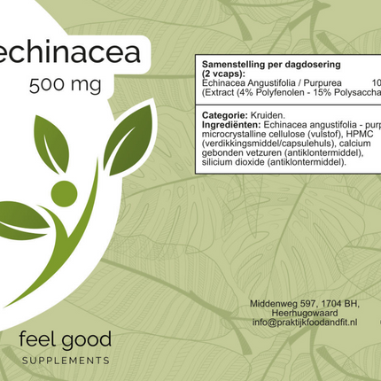 Echinacea