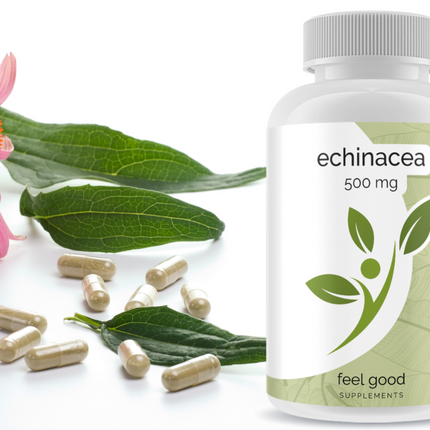 Echinacea